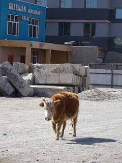 20180318-25 Mongol-Kazakh (1075).JPG