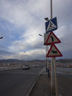 20180318-25 Mongol-Kazakh (1264).JPG