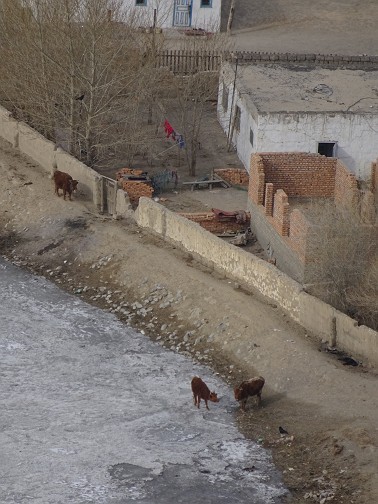 20180318-25 Mongol-Kazakh (158).JPG