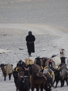 20180318-25 Mongol-Kazakh (216).JPG