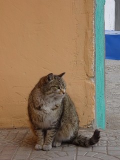20180318-25 Mongol-Kazakh (269).JPG