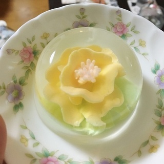 写真 2017-07-08 22 17 45.jpg
