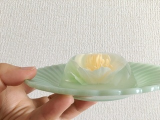 写真 2017-07-10 8 56 42.jpg