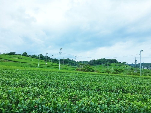 写真 2017-07-30 13 03 13.jpg