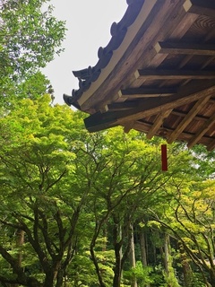 写真 2017-07-30 14 30 33.jpg